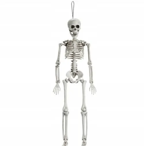 Dekoracja Szkielet Kościotrup Halloween wiszący 40 cm